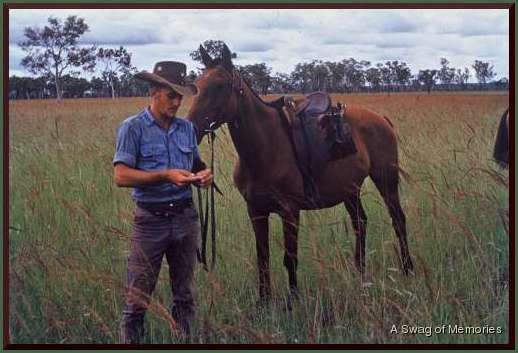 ringer with horse