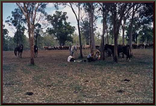 droving camps-1